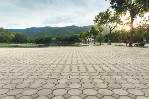 Best Custom Driveway Pavers  in Oakdale, NY